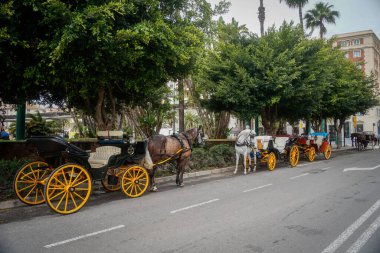 Malaga, Endülüs, Costa de Sol, İspanya. Malaga City 'den şehir manzarası. Merkezde at arabaları var. 7 Mart 2025