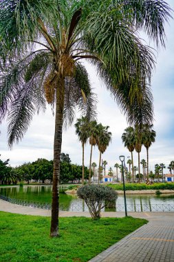 Malaga, Endülüs, Costa de Sol, İspanya. Huelin 'e park et. 12 Mart 2025