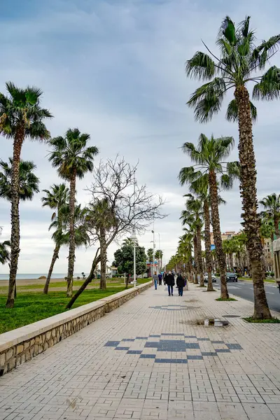 Malaga, Endülüs, Costa de Sol, İspanya. San Andres sahil yolu. 12 Mart 2025