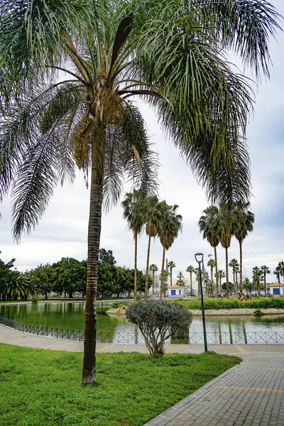 Malaga, Endülüs, Costa de Sol, İspanya. Huelin 'e park et. 12 Mart 2025