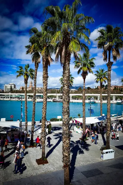 Malaga, Endülüs, Costa del Sol, İspanya. Liman bölgesindeki MUELLE UNO 'da market tezgahları olan bir sokak manzarası. 16 Mart 2025