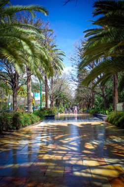 Malaga, Endülüs, Costa de Sol, İspanya. Paseo del Parque 'da. 9 Mart 2025