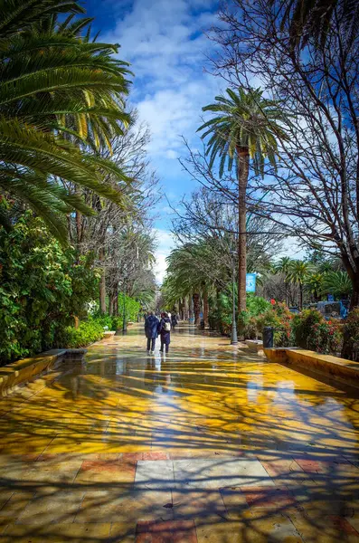 Malaga, Endülüs, Costa de Sol, İspanya. Paseo del Parque 'da. 9 Mart 2025
