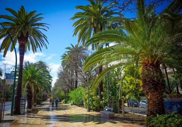 Malaga, Endülüs, Costa de Sol, İspanya. Paseo del Parque 'da. 9 Mart 2025