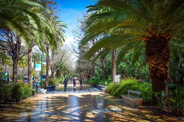 Malaga, Endülüs, Costa de Sol, İspanya. Paseo del Parque 'da. 9 Mart 2025