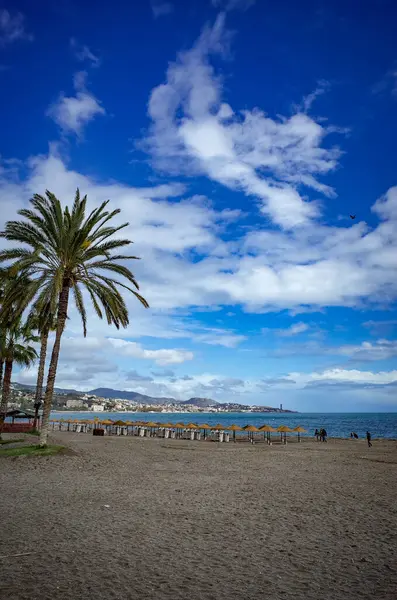 Malaga, Endülüs, Costa de Sol, İspanya. Malaga 'daki Malagueta sahilinden bir sahne. 9 Mart 2025