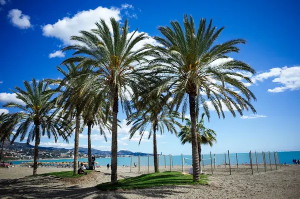 Malaga, Endülüs, Costa de Sol, İspanya. Malaga 'daki Malagueta sahilinden bir sahne. 15 Mart 2025