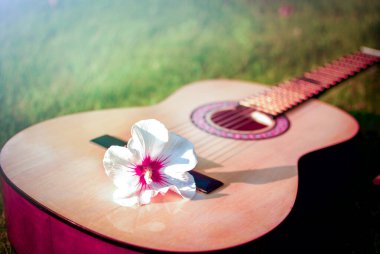 Almanya. Dışarda çiçekli akustik bir gitarın nahoş konsept fotoğrafı. 24 Temmuz 2012