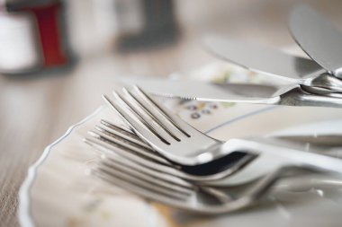 Mutfak çatal bıçak takımı boş bir tabağa yerleştirilmiş.