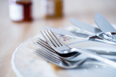 Mutfak çatal bıçak takımı boş bir tabağa yerleştirilmiş.