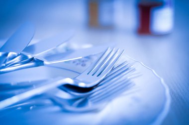 Mutfak çatal bıçak takımı boş bir tabağa yerleştirilmiş.