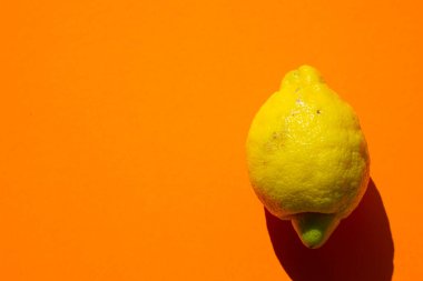 Renkli arka planda izole edilmiş sarı bir limonun kavramsal ürünü sert sert, sert güneş ışığı ve metin alanı