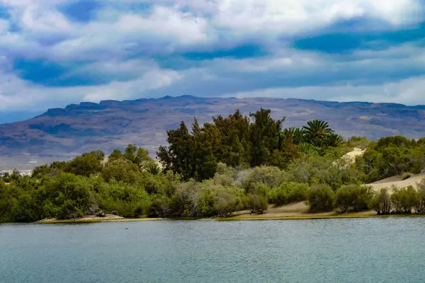 Maspalomalar, Gran Canaria, İspanya. Üstü kapalı gökyüzü altında Maspalomların kum tepeleri. Eşsiz çöl manzarası. Ünlü doğal manzara. 10 Haziran 2011