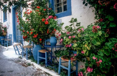 Kos, Yunanistan. Yunanistan 'ın Kos kentinde beyaz bir duvara tırmanan çiçekler ve mavi aksanlı resimli bir ara sokak. Klasik Yunan adası atmosferi ve cazibesi. 