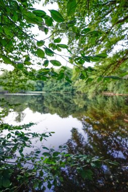 Troisdorf,Leyenweiher. Leyenweiher Gölü 'nde sakin bir akşam manzarası. Yazın başlarında yumuşak ışık ve sakin bir atmosferle yakalanan hiç insan yok. Doğa koruma alanı.