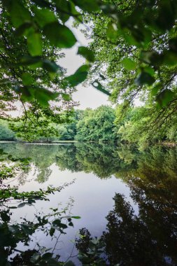 Troisdorf,Leyenweiher. Leyenweiher Gölü 'nde sakin bir akşam manzarası. Yazın başlarında yumuşak ışık ve sakin bir atmosferle yakalanan hiç insan yok. Doğa koruma alanı.