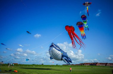 Norddeich, Almanya. 16 Temmuz 2025. Norddeich 'teki uçurtma çayırı, Kuzey Denizi' nden gelen hendekler ve taze deniz esintileriyle çevrili, uçan uçurtmalar için mükemmel geniş, çimenli bir kıyı alanıdır.)