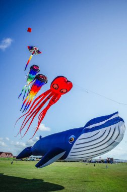 Norddeich, Almanya. 16 Temmuz 2025. Norddeich 'teki uçurtma çayırı, Kuzey Denizi' nden gelen hendekler ve taze deniz esintileriyle çevrili, uçan uçurtmalar için mükemmel geniş, çimenli bir kıyı alanıdır.)