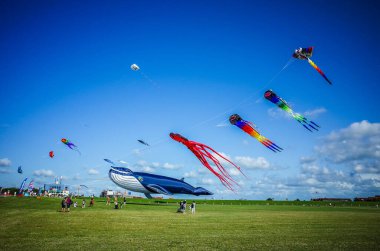 Norddeich, Almanya. 16 Temmuz 2025. Norddeich 'teki uçurtma çayırı, Kuzey Denizi' nden gelen hendekler ve taze deniz esintileriyle çevrili, uçan uçurtmalar için mükemmel geniş, çimenli bir kıyı alanıdır.)
