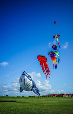 Norddeich, Almanya. 16 Temmuz 2025. Norddeich 'teki uçurtma çayırı, Kuzey Denizi' nden gelen hendekler ve taze deniz esintileriyle çevrili, uçan uçurtmalar için mükemmel geniş, çimenli bir kıyı alanıdır.)