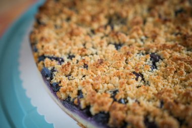 Taze pişmiş vişneli kek, altın çizgili ve sulu meyve dolgulu. Klasik ev yapımı tatlı. Sıcak ya da soğuk servis edilir.