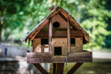 Ağaçlar ve sera ile çevrili, sessiz bir ormanda asılı boş ahşap kuş evi. Vahşi yaşam, kuş koruma ve doğa koruma sembolü.