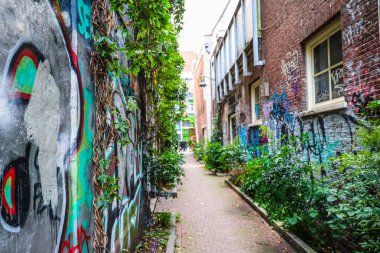 Netherlands, Amsterdam. September 29, 2025. Canals, facades, and movement. Side street with vegetation and graffiti