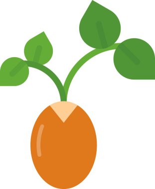 Taze havuç ikonu. Web tasarımı için organik vektör illüstrasyonunun düz tasarımı