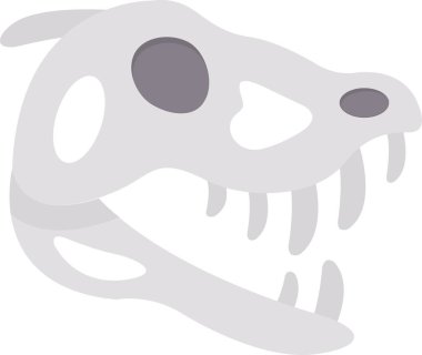 Bir kafatasının vektör çizimi