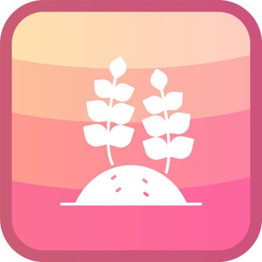 beautiful flower vector glyph icon