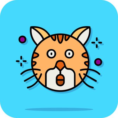 Büyük gözlü bir kedi.