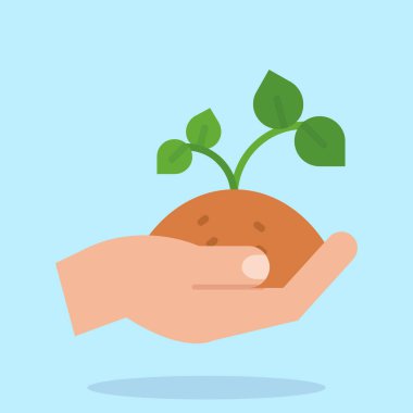 Bir bitkiyi tutan el.