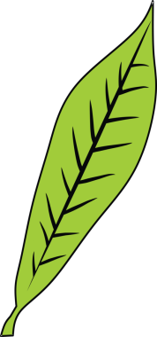 Siyah arkaplanda basit yeşil yaprak çizimi, çok yönlü grafik ögesi