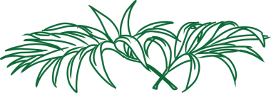 Biçimlendirilmiş Yeşil Yaprak Çizimi: Doğa için Organik Bitki Tasarımı Elementi