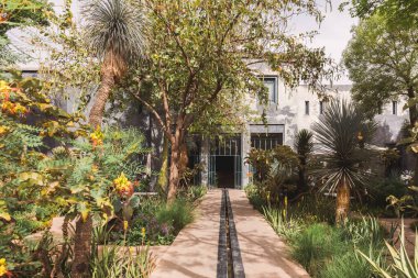 Bahçe yolu, tropikal bitki ve palmiye ağaçlarından oluşan güzel, yemyeşil bir botanik bahçesi ile Marakeş, Le Jardin Secret, Fas 'taki ünlü bir yerde geleneksel Fas mimarisi.