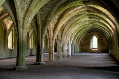 Yorkshire, İngiltere 13 Eylül 2022. Mahvolmuş Çeşmeler Manastırı 'ndaki mahzeni (kiler).