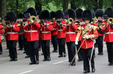 31 Mayıs 2017 'de Londra' nın merkezindeki Birdcage Walk 'da düzenlenen 