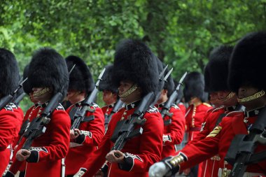 31 Mayıs 2017 'de Londra' nın merkezindeki Birdcage Walk 'da düzenlenen 