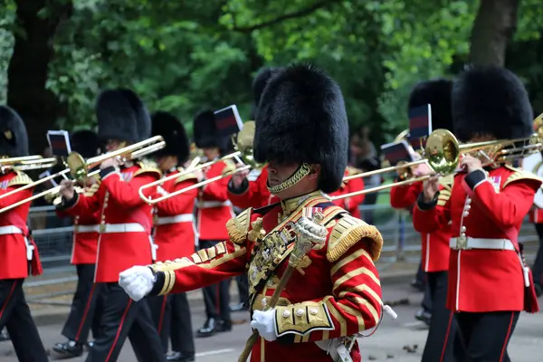31 Mayıs 2017 'de Londra' nın merkezindeki Birdcage Walk 'da düzenlenen 