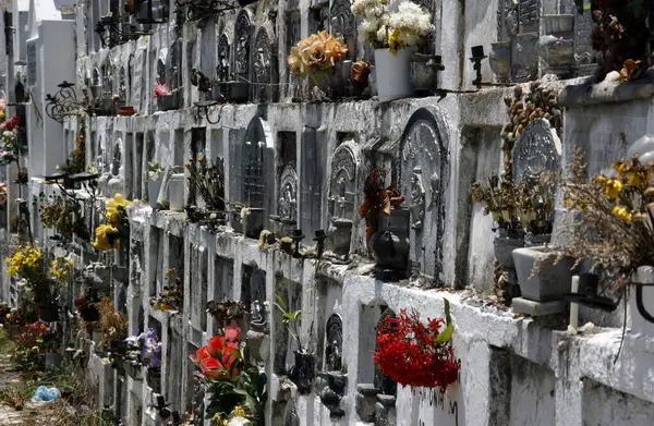 Santa Cruz de Mompox, Kolombiya 'daki Cementerio De Mompox mezarlarındaki çiçekler.