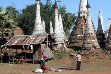 Women sort grain beside the ruins of Buddhist pagodas in Inthein village, on the edge of Inle Lake, Myanmar clipart