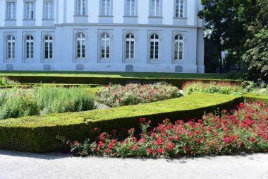 beautiful flowers and plants in the park of Schloss Koblenz clipart