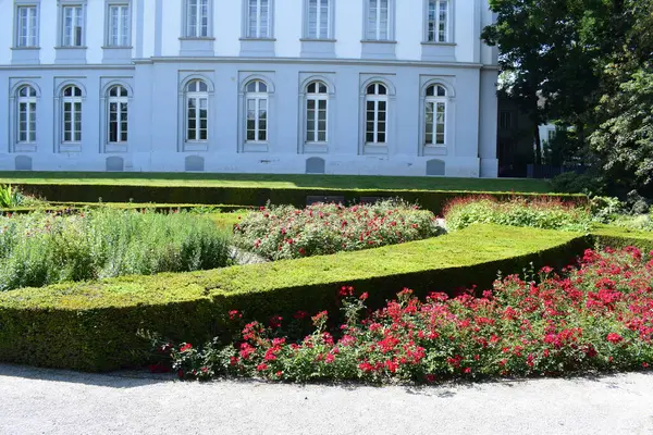 stock image beautiful flowers and plants in the park of Schloss Koblenz