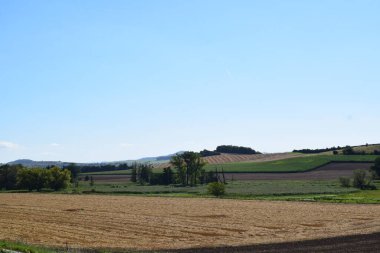 Buğday tarlası ve bataklığı olan güzel bir manzara.