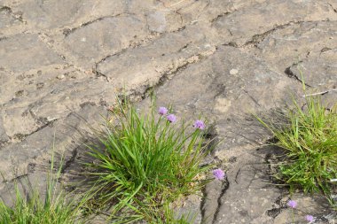 Terk edilmiş bir yolda fabrika