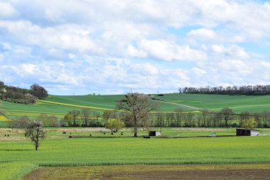 Yeşil tarlalı manzara, mavi gökyüzü, arka planda bulutlar.