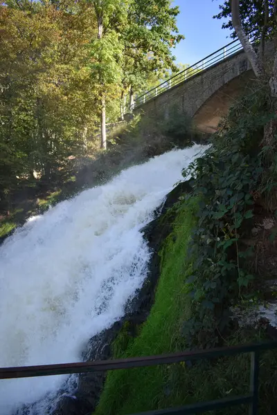 stock image waterfall in the forest