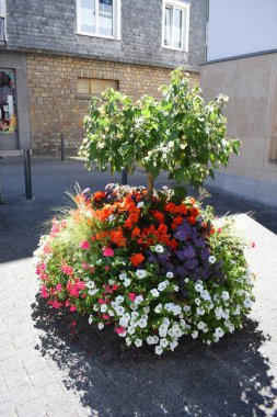 Eski kasabadaki çiçek bahçesi.