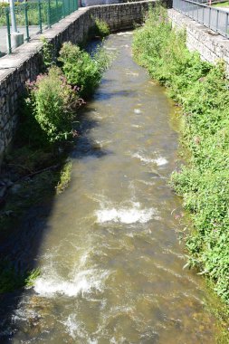 Yeşil bitkilerin arasından akan düz bir nehir.