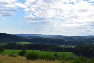 Yazın dağların ve ormanın manzarası